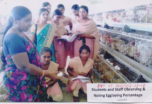 KTR Activities